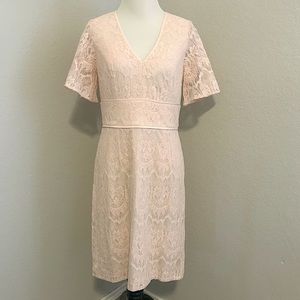 Adrianna Papell 💖Blush Lace Dress💖